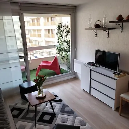 Studio Acces Direct A La Grande Plage Апартаменты *